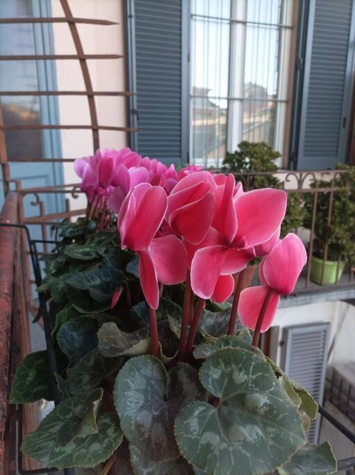 Pane E Tulipani, Cozy Apartment Near City Center Turin Extérieur photo